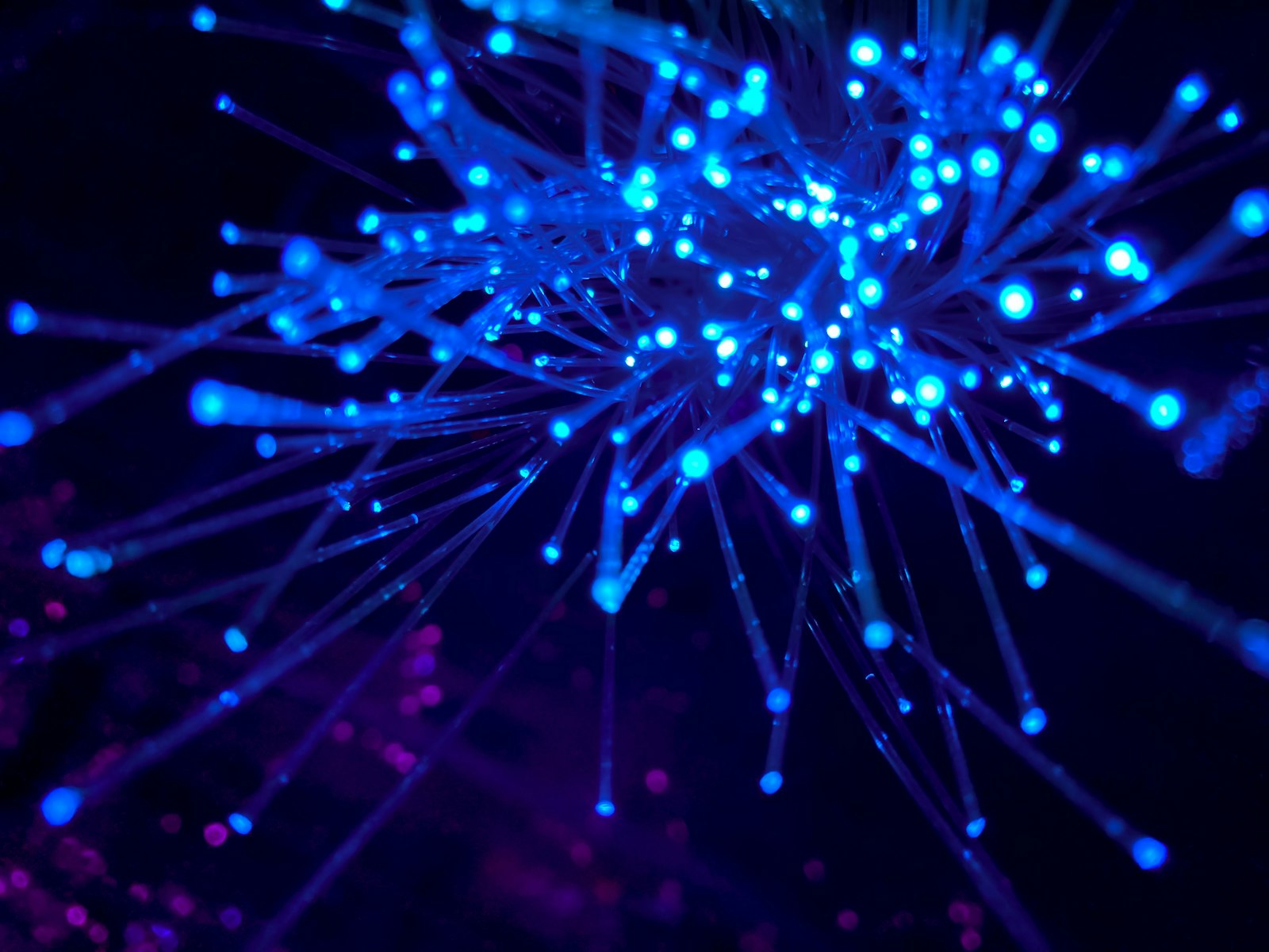 Global API network connections, fiber optic lines representing worldwide content coverage